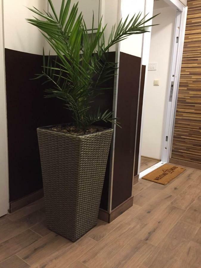 Lukadora Apartment Пула Екстериор снимка